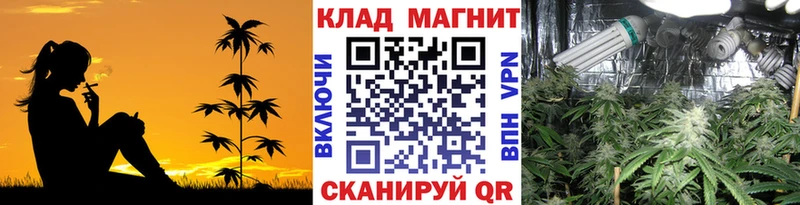 Купить закладку АМФ  Галлюциногенные грибы  МЕФ  Гашиш  СК  Канабис  Новотитаровская