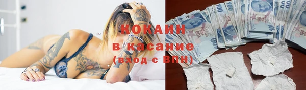 spice Козловка