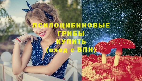 прущий лед Кодинск