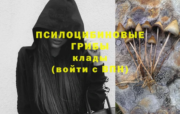 прущий лед Кодинск