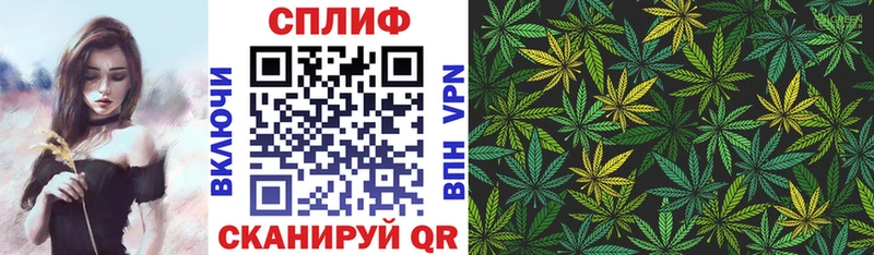 Купить закладки  Новотитаровская  Марихуана OG Kush 